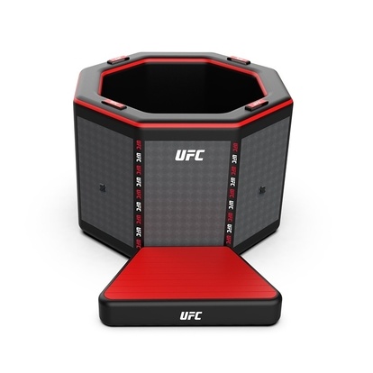 Nafukovací ochlazovací káď - UFC Octagon
